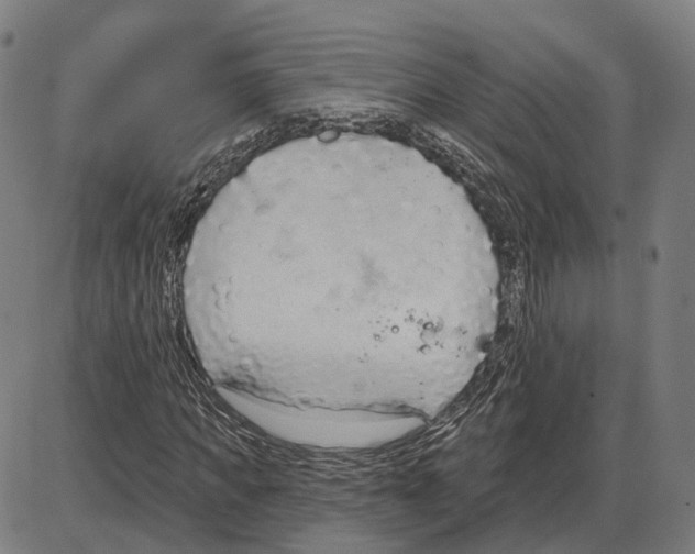 X0000083990917200703161619