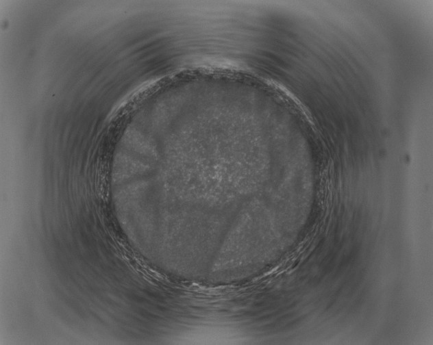 X0000083990919200703161619