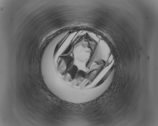 X0000083990920200703161619