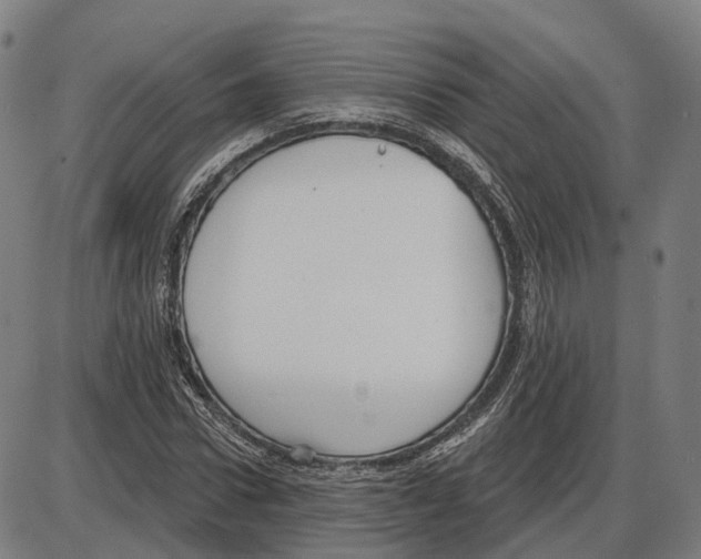 X0000083990922200703161619