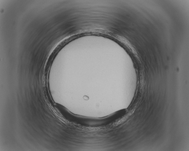 X0000083990924200703161619