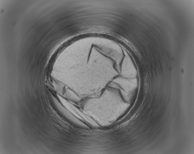 X0000083990926200703161619