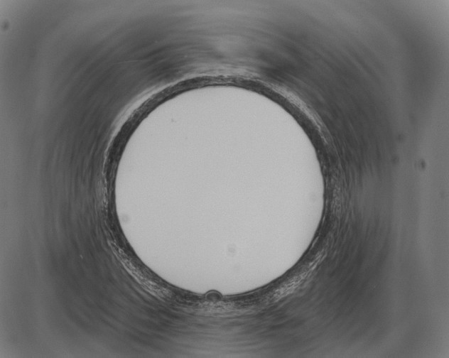 X0000083990927200703161619