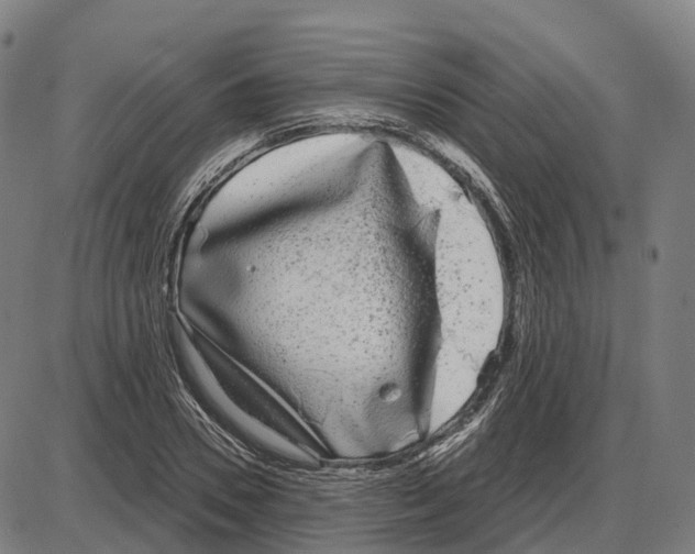 X0000083990930200703161619