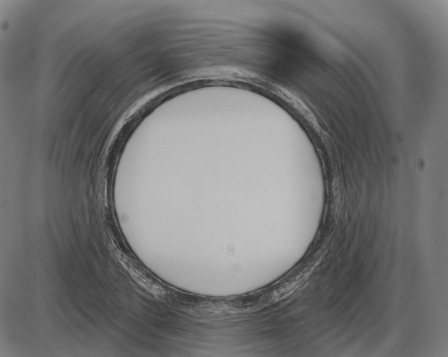 X0000083990931200703161619