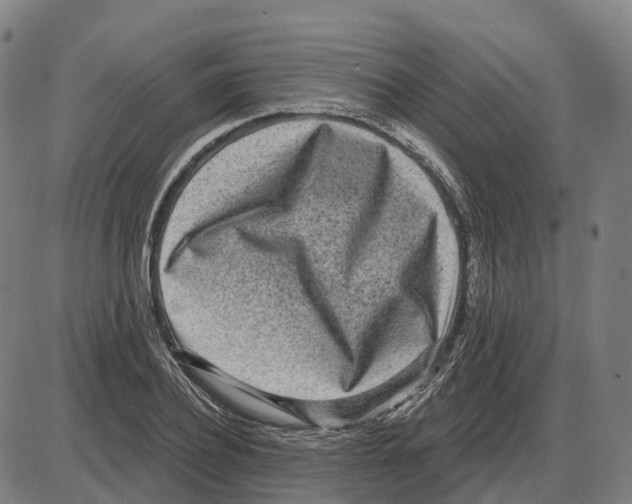 X0000083990932200703161619