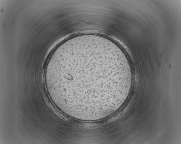 X0000083990933200703161619