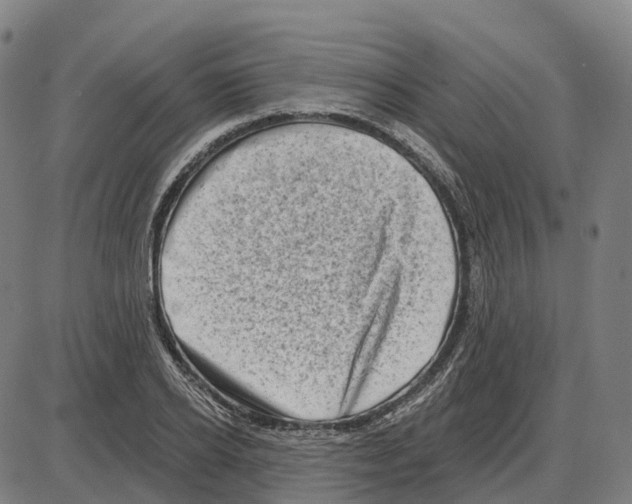 X0000083990934200703161619