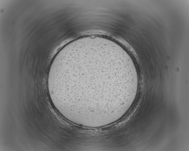 X0000083990937200703161619