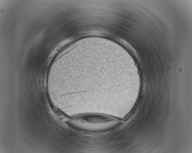 X0000083990938200703161619