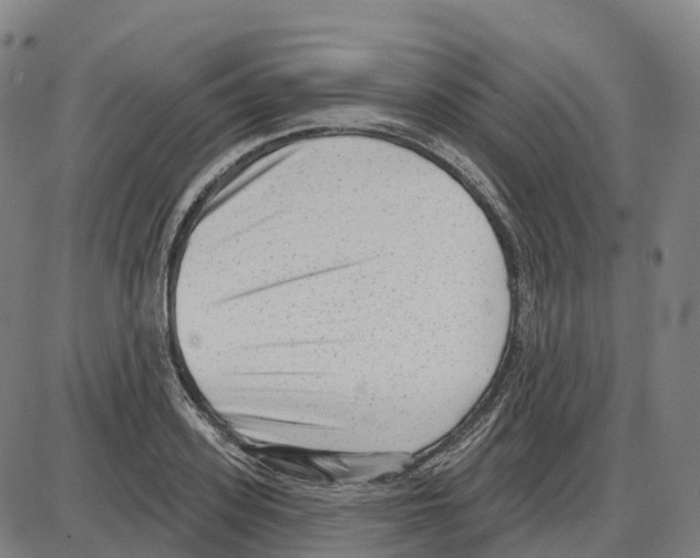 X0000083990939200703161619