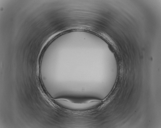 X0000083990940200703161619