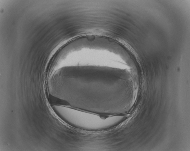 X0000083990941200703161619