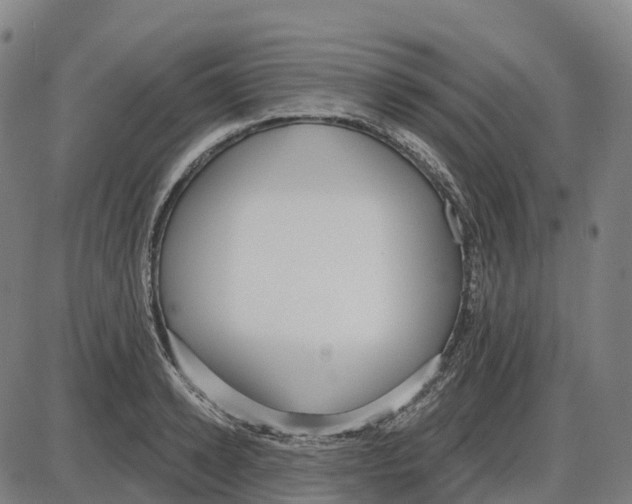 X0000083990942200703161619