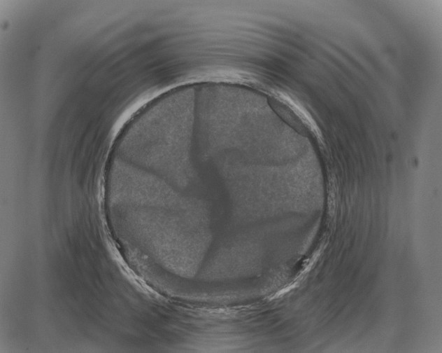 X0000083990944200703161619