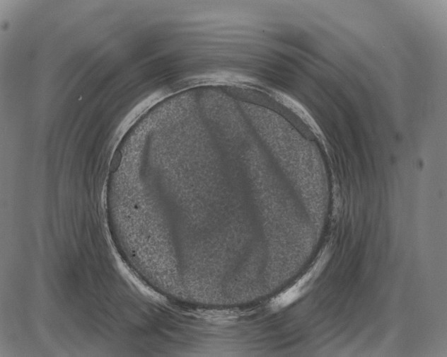 X0000083990946200703161619