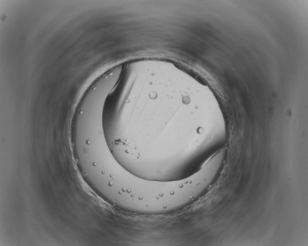 X0000083990950200703161619