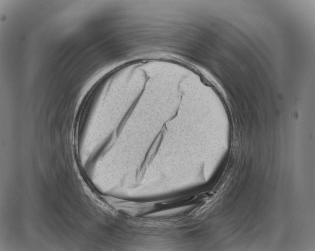 X0000083990951200703161619