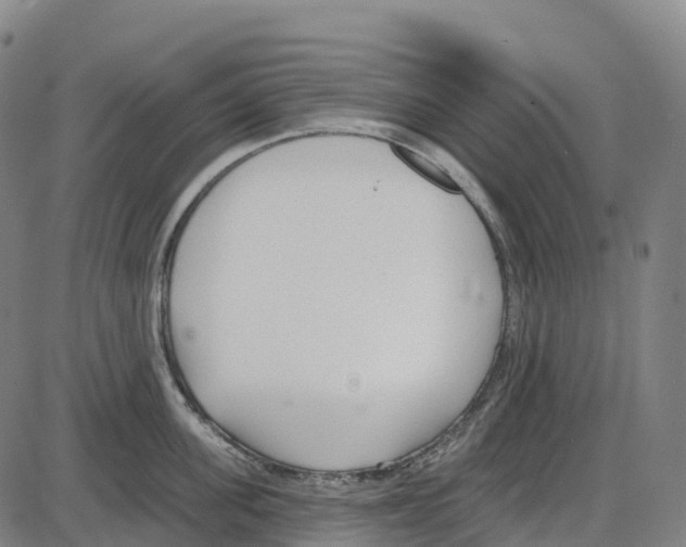 X0000083990955200703161619