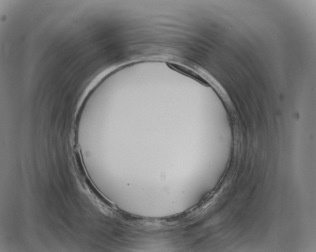 X0000083990956200703161619