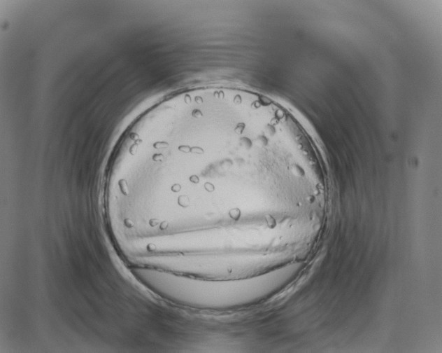 X0000083990957200703161619