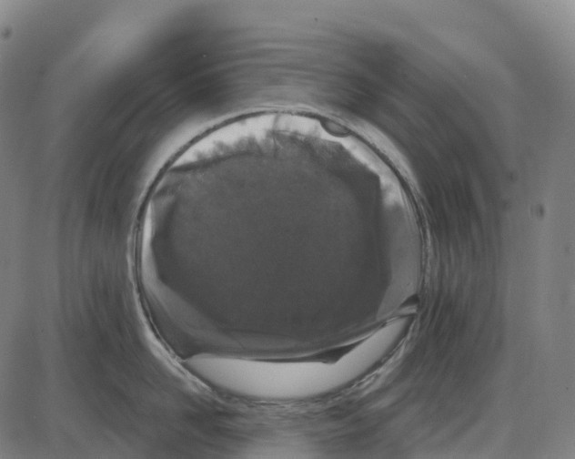 X0000083990958200703161619