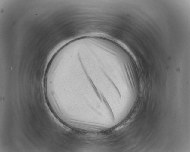 X0000083990959200703161619