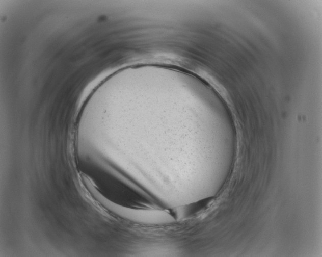 X0000083990960200703161619