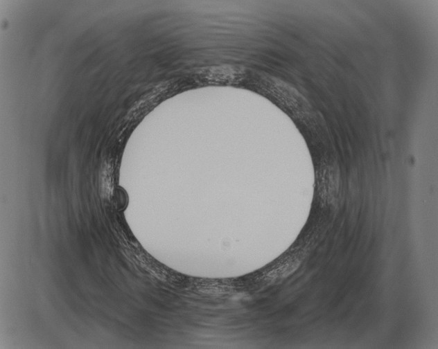 X0000083990962200703161618