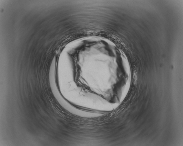 X0000083990963200703161618