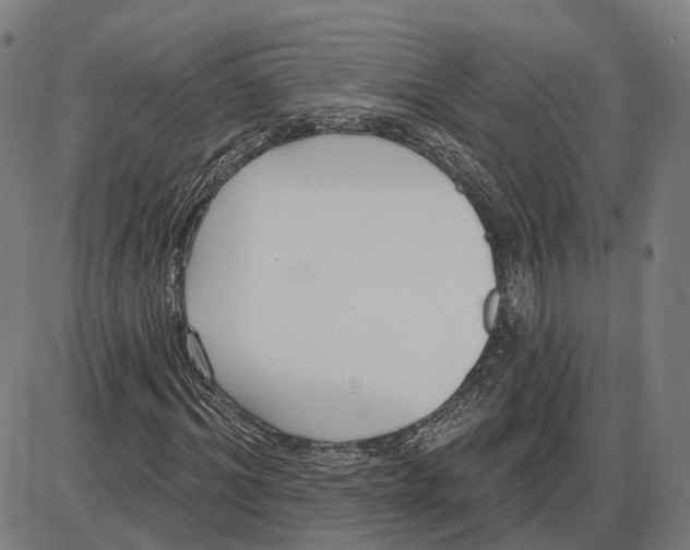 X0000083990964200703161618