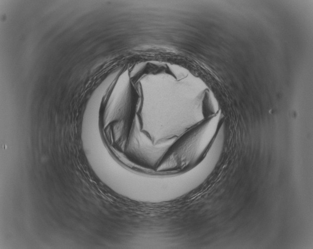 X0000083990965200703161618