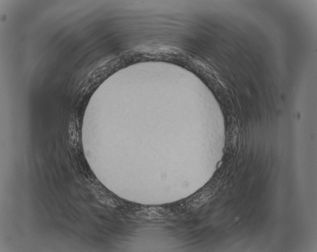 X0000083990966200703161618