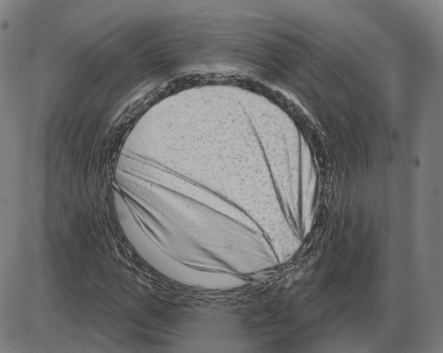 X0000083990967200703161618