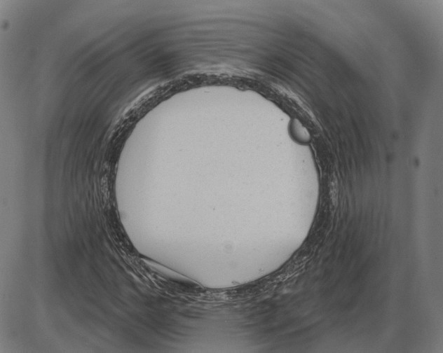 X0000083990968200703161618