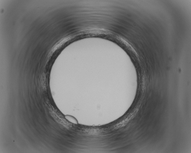 X0000083990970200703161618