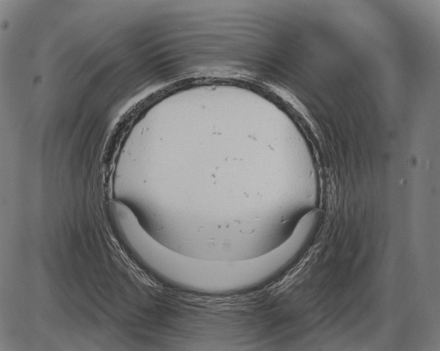 X0000083990971200703161618