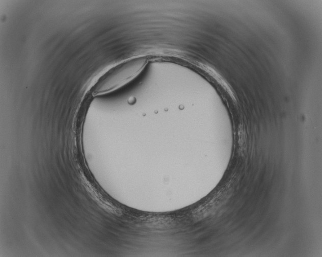 X0000083990972200703161618