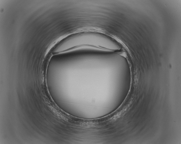 X0000083990973200703161618