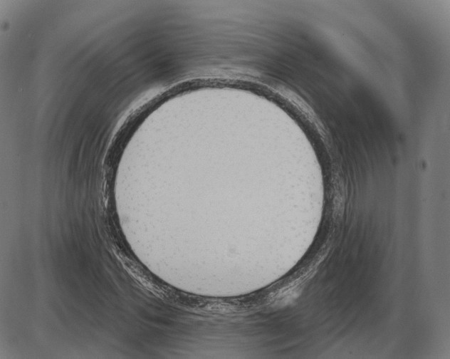 X0000083990974200703161618