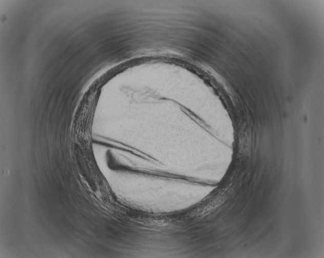 X0000083990975200703161618