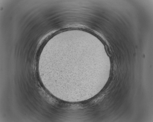 X0000083990979200703161618