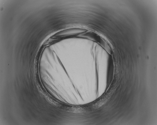 X0000083990983200703161618