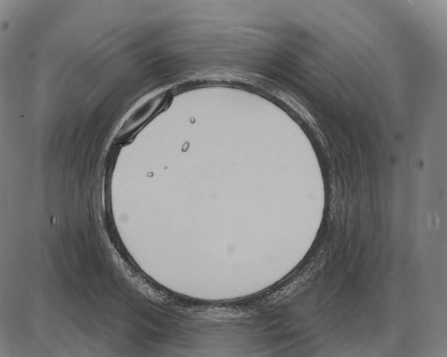 X0000083990984200703161618