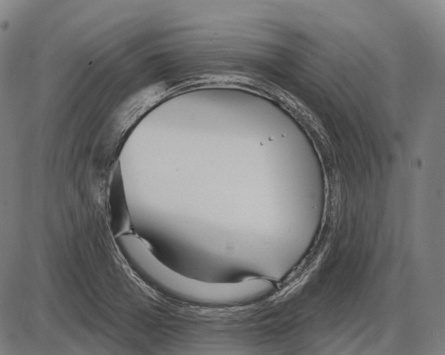 X0000083990985200703161618