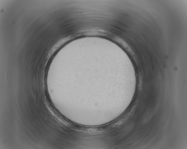 X0000083990986200703161618