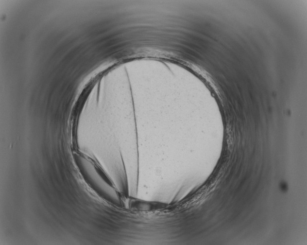 X0000083990987200703161618