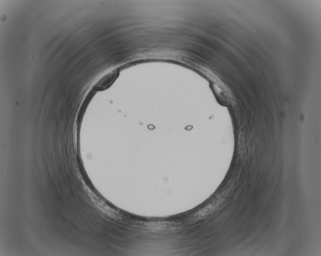 X0000083990988200703161618