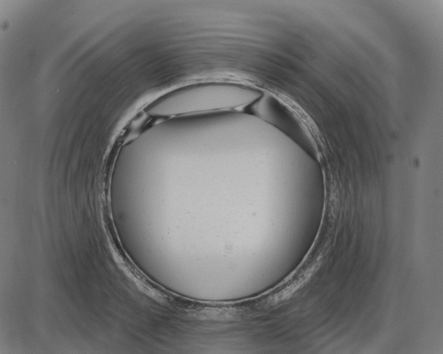 X0000083990989200703161618