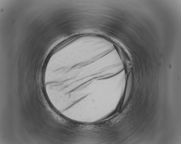 X0000083990991200703161618